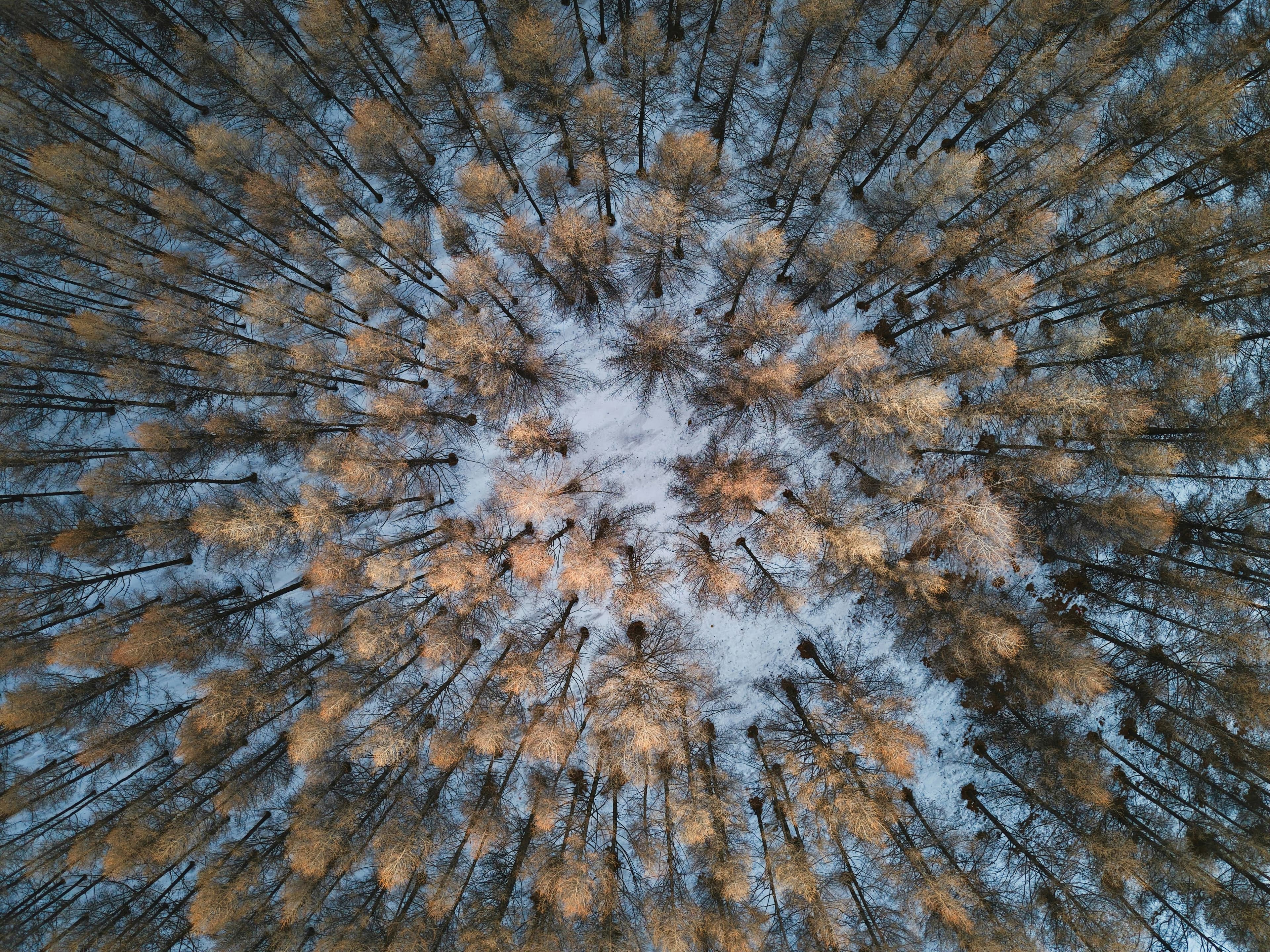 Some Other Test